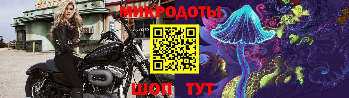 Галлюциногенные грибы Psilocybine cubensis  Вход с VPN  Асбест 